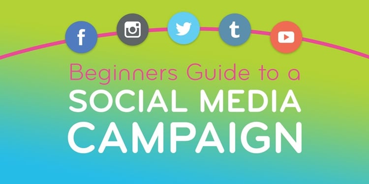 Beginners Guide to a Social Media Campaign graphic