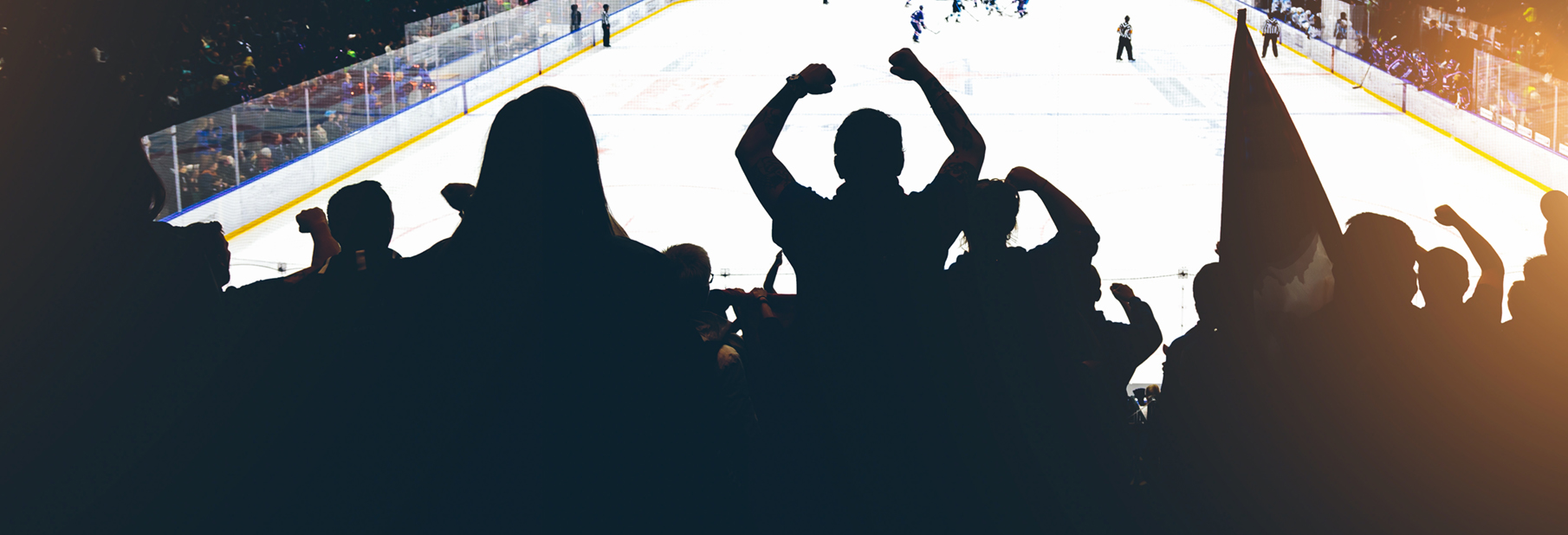 Hockey-crowd