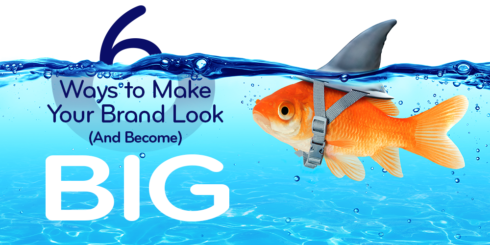 6 Ways to Make Your Brand Look (and Become) BIG